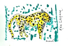 der leopard