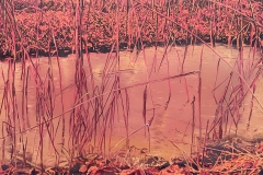 'La courtoisie du Kodo'
