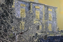 'The house'